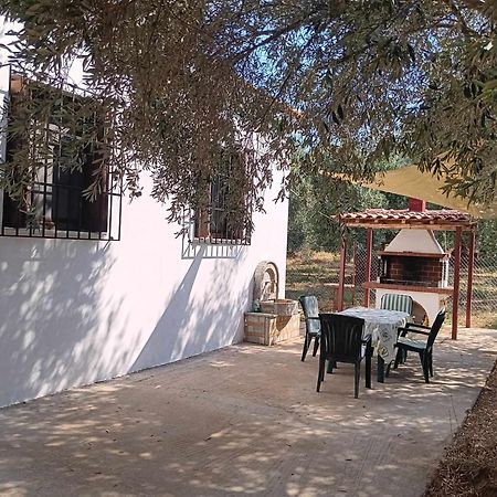 The Small House In The Olive Grove Lefokastro Luaran gambar