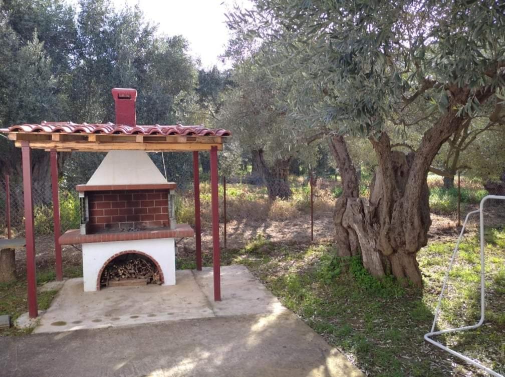 The Small House In The Olive Grove Lefokastro Luaran gambar
