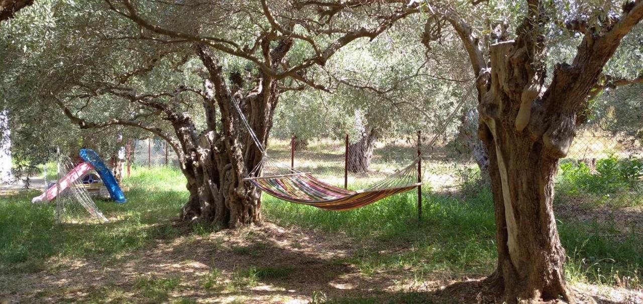 The Small House In The Olive Grove Lefokastro Luaran gambar