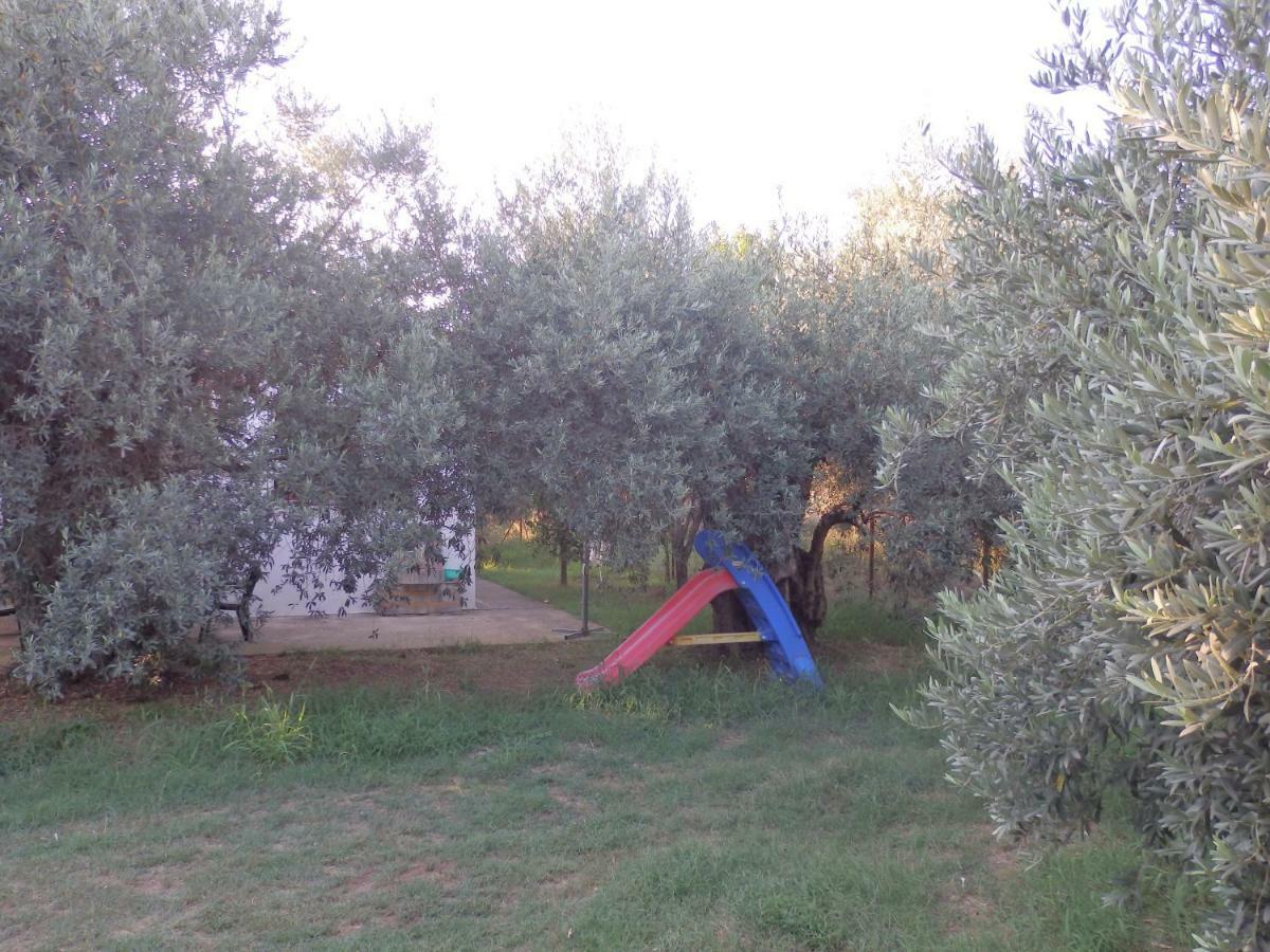 The Small House In The Olive Grove Lefokastro Luaran gambar