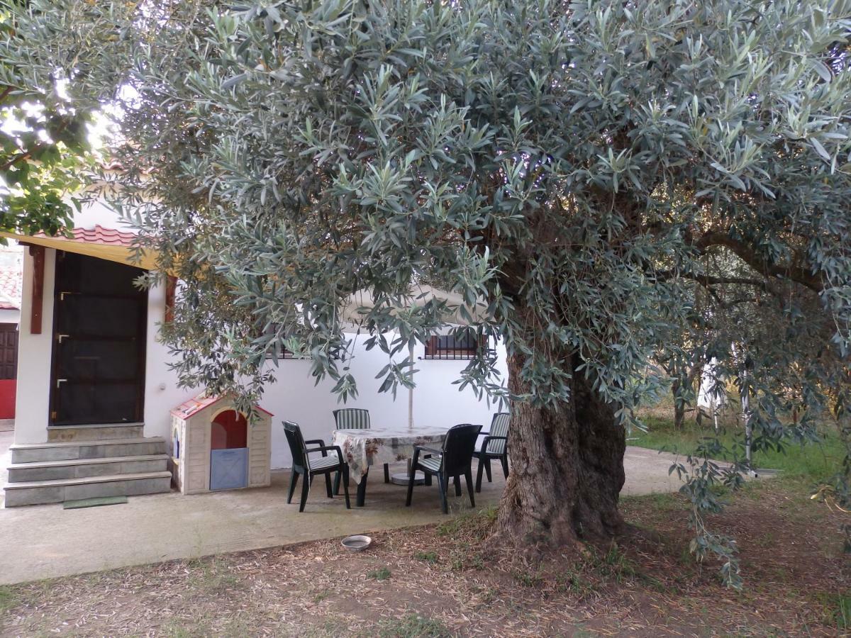 The Small House In The Olive Grove Lefokastro Luaran gambar