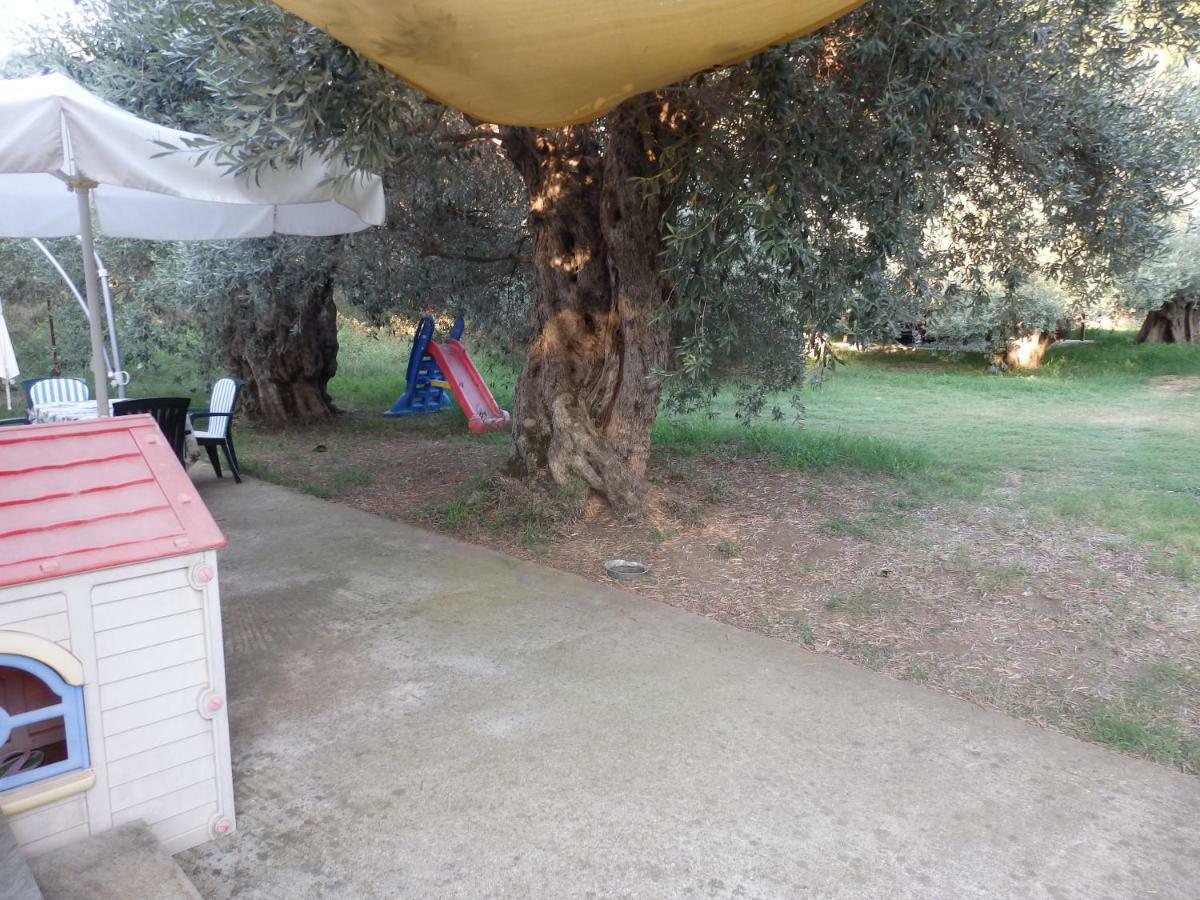 The Small House In The Olive Grove Lefokastro Luaran gambar