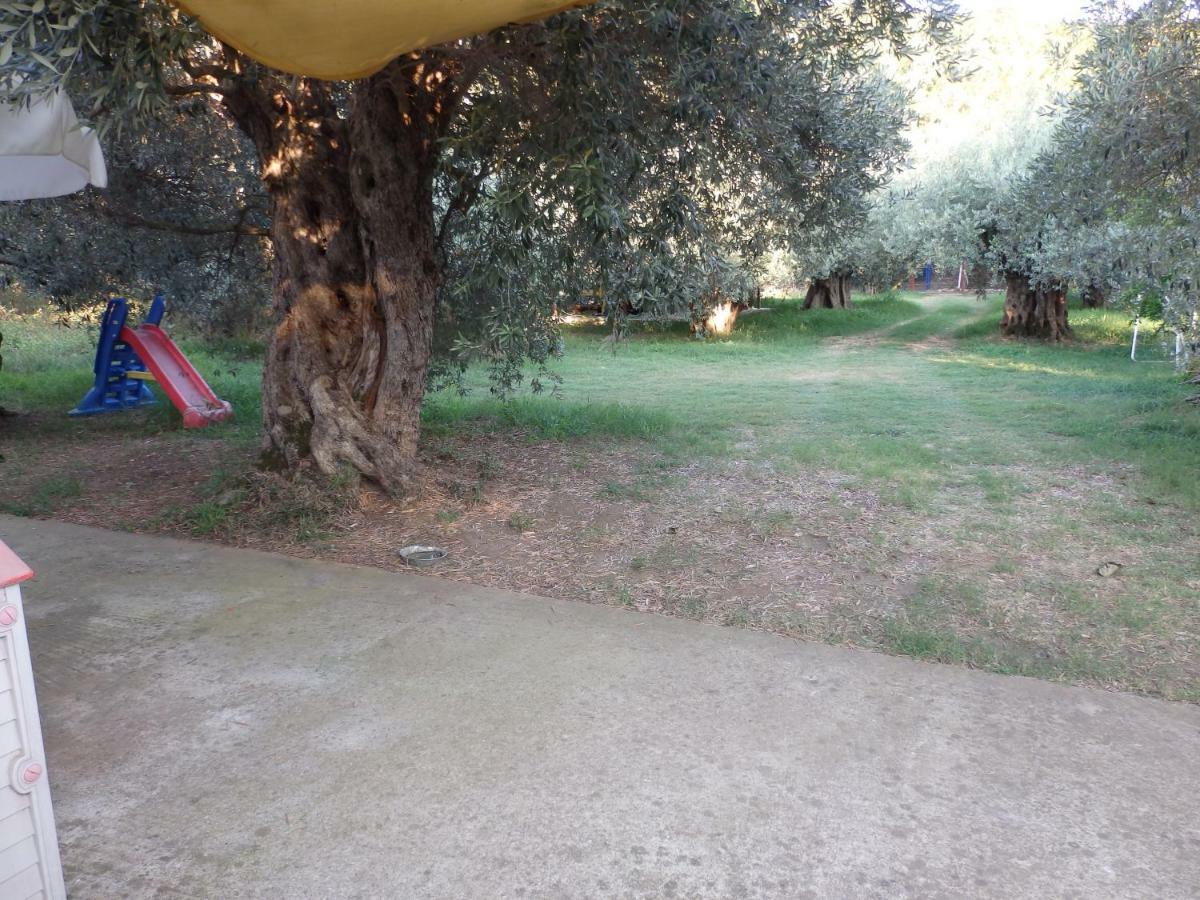The Small House In The Olive Grove Lefokastro Luaran gambar
